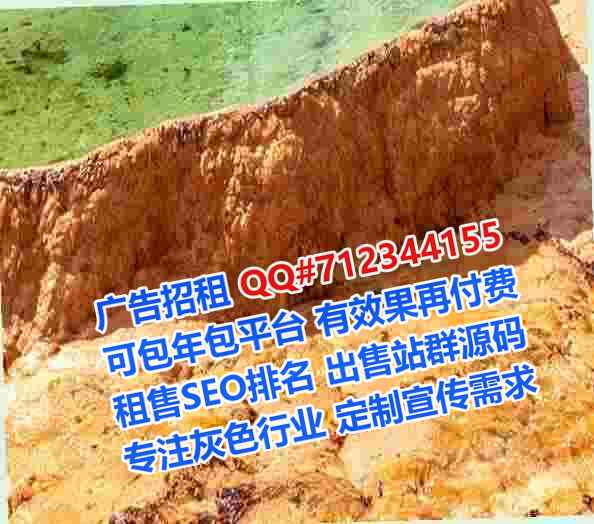 洋县代母数码有限公司